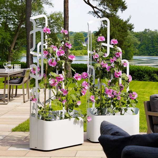 Paro planter trellis on wheels is a moveable planter with indoor/outdoor planter insert by Flora galvanised steel planter company, Germany.